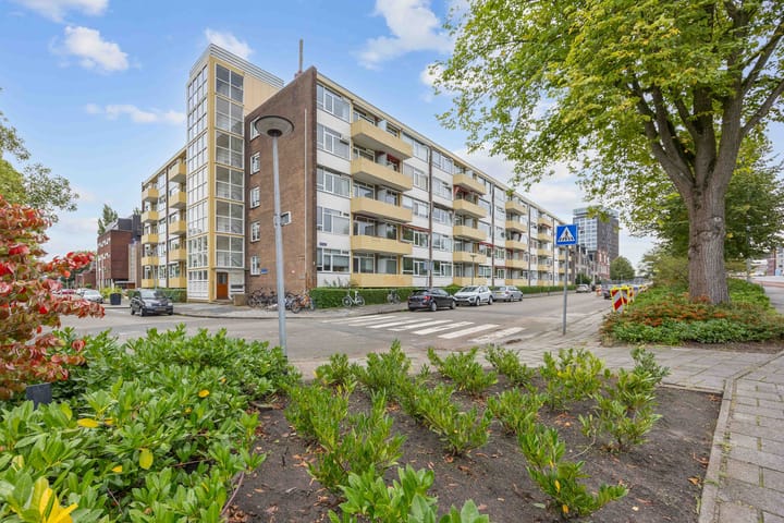 Foto 3 van Damsterdiep 181