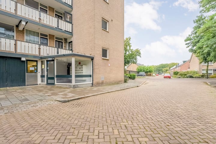 Foto 5 van Frerikshuislaan 151