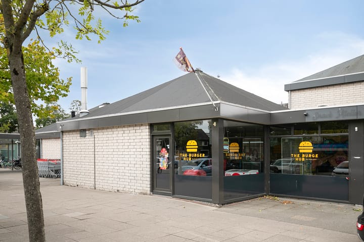 Foto 50 van Frambozestraat 31