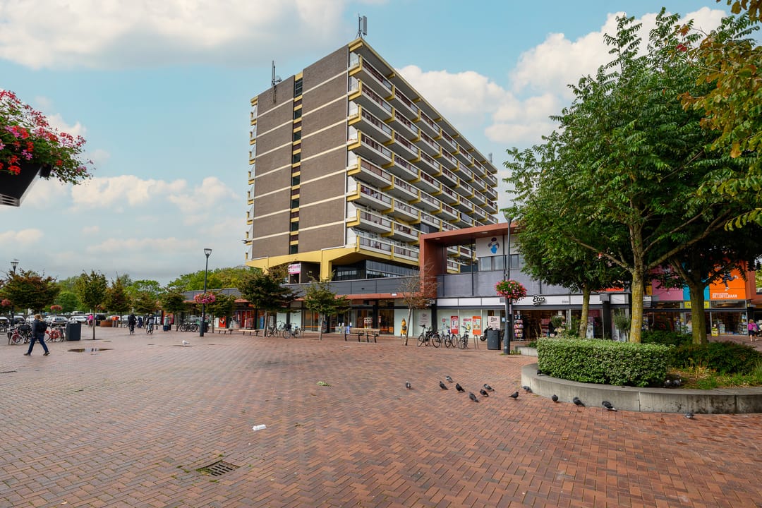 Foto 1 van Vijf Meilaan 142