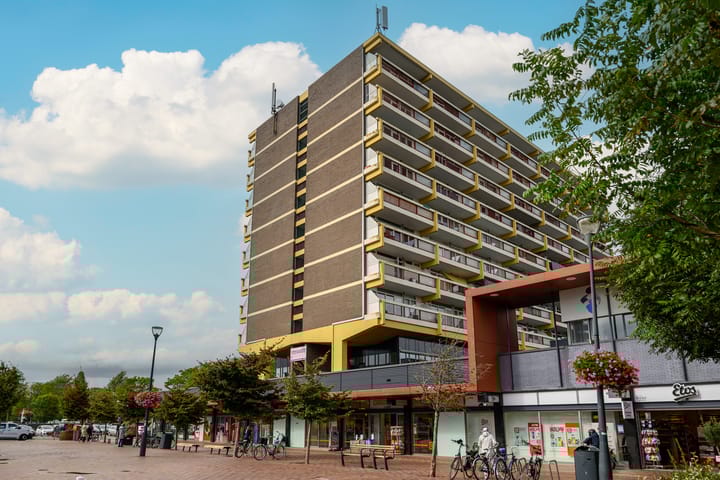 Foto 2 van Vijf Meilaan 142