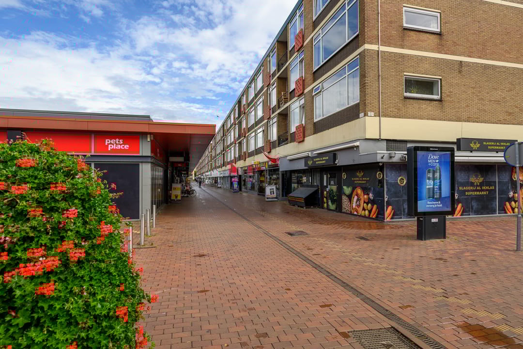 Foto 26 van Vijf Meilaan 142