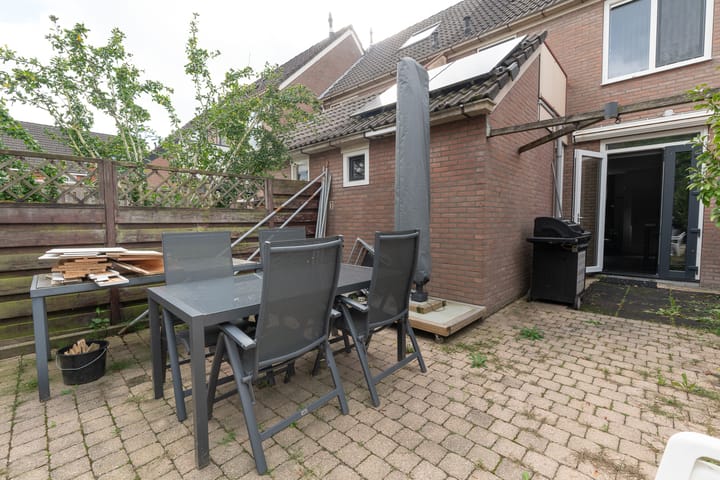 Foto 48 van Kamperfoelie 10