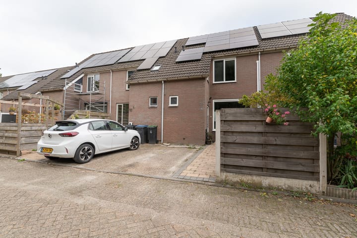 Foto 50 van Kamperfoelie 10