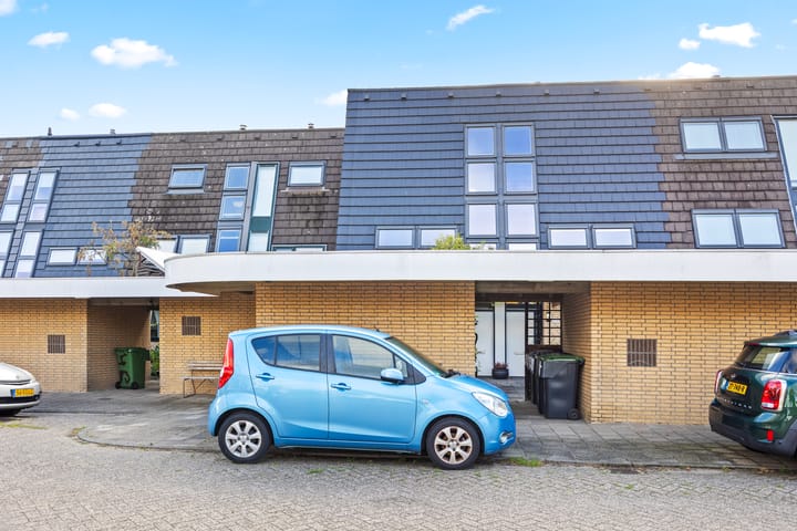 Foto 4 van Fakkelgras 50