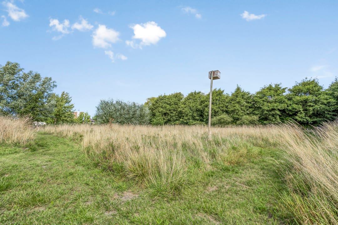 Photo 56 of Bouwmansweg 5