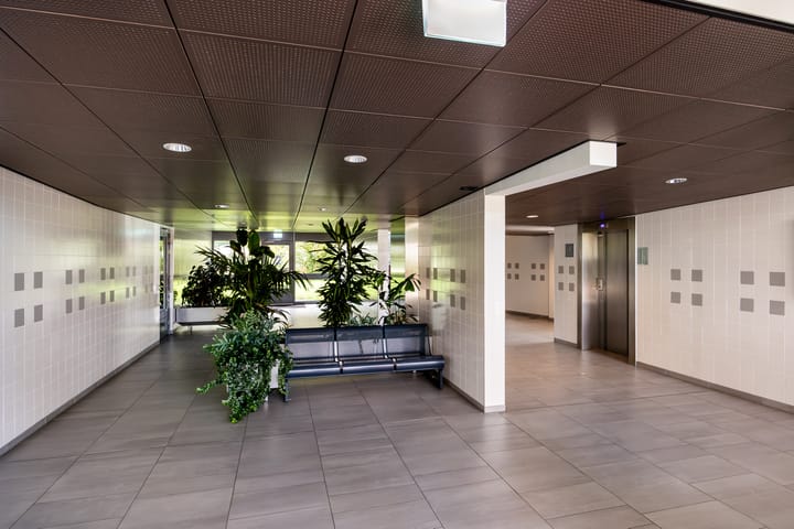 Foto 21 van Cruquiuslaan 161