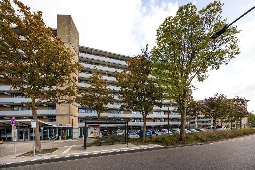 Foto 22 van Cruquiuslaan 161