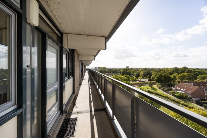 Foto 19 van Cruquiuslaan 161