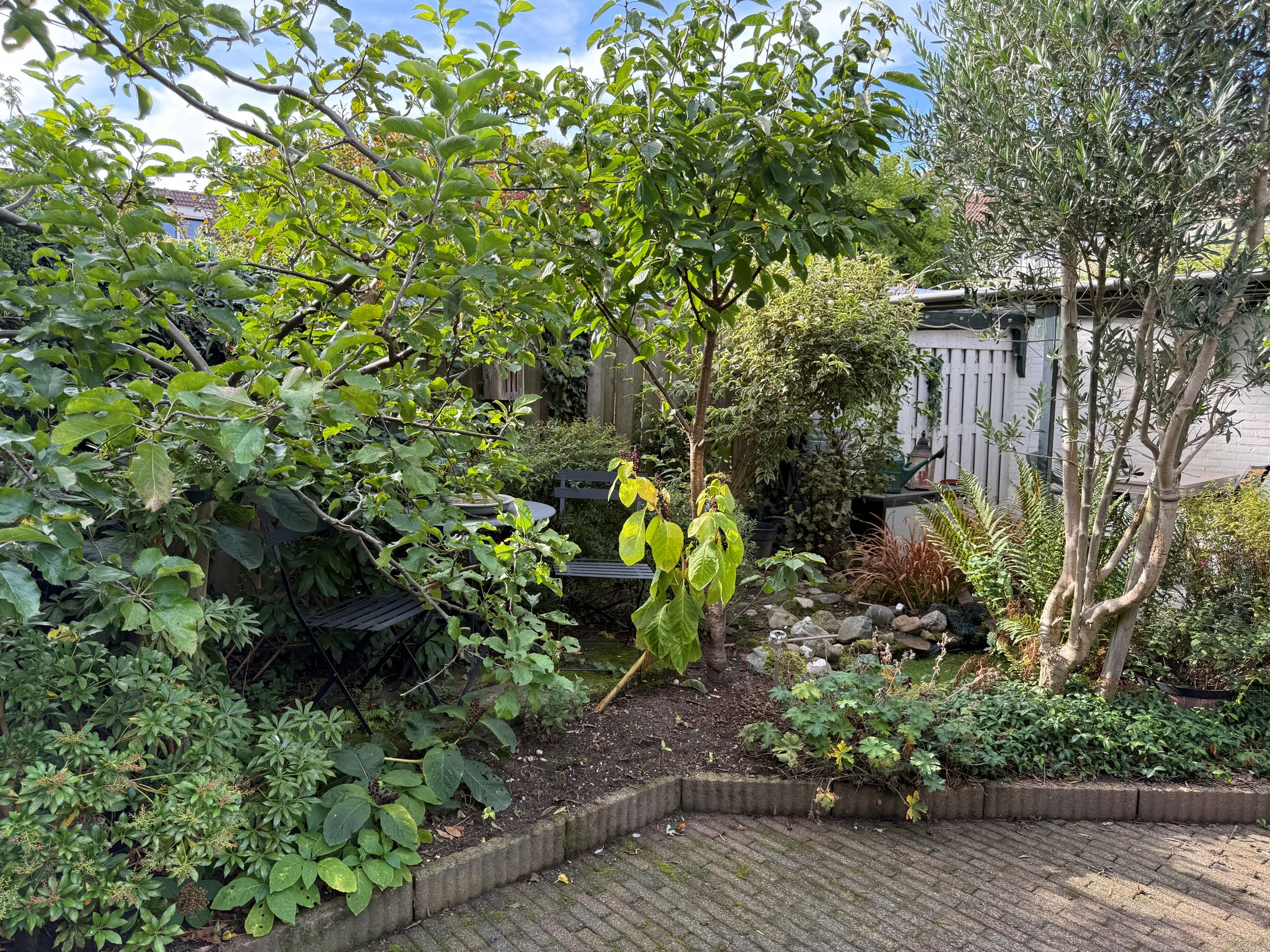 Foto 30 van Willem Barentszstraat 10