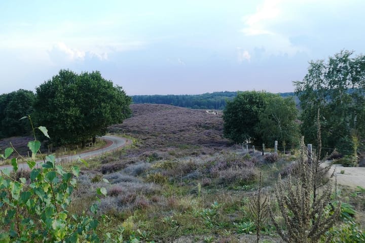 Foto 37 van Willem Barentszstraat 10