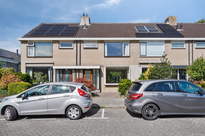 Foto 1 van Roestmos 14