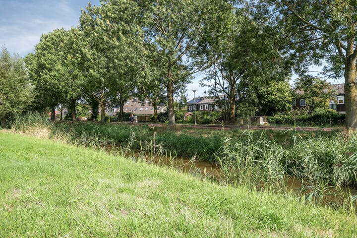 Foto 46 van Roestmos 14