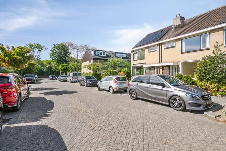 Foto 5 van Roestmos 14