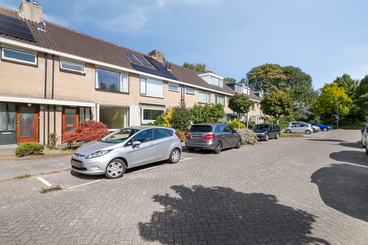 Foto 6 van Roestmos 14