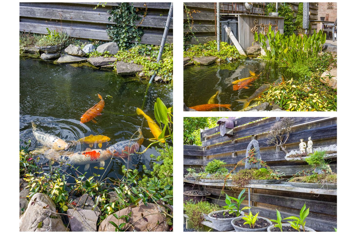 Foto 35 van Oosterstraat 24