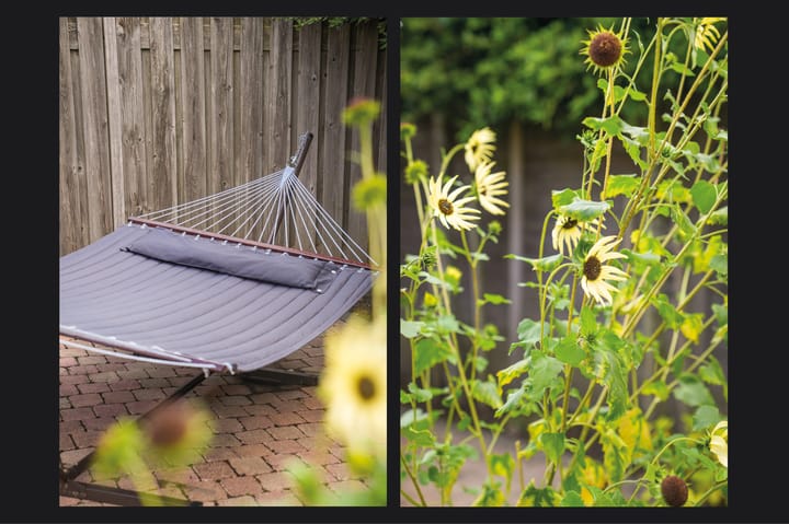 Foto 29 van Edelmanstraat 22