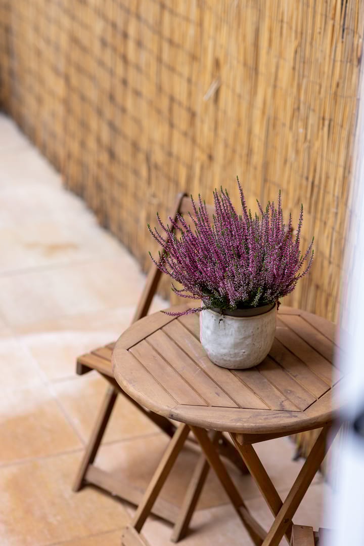 Foto 31 van Statenweg 64-D