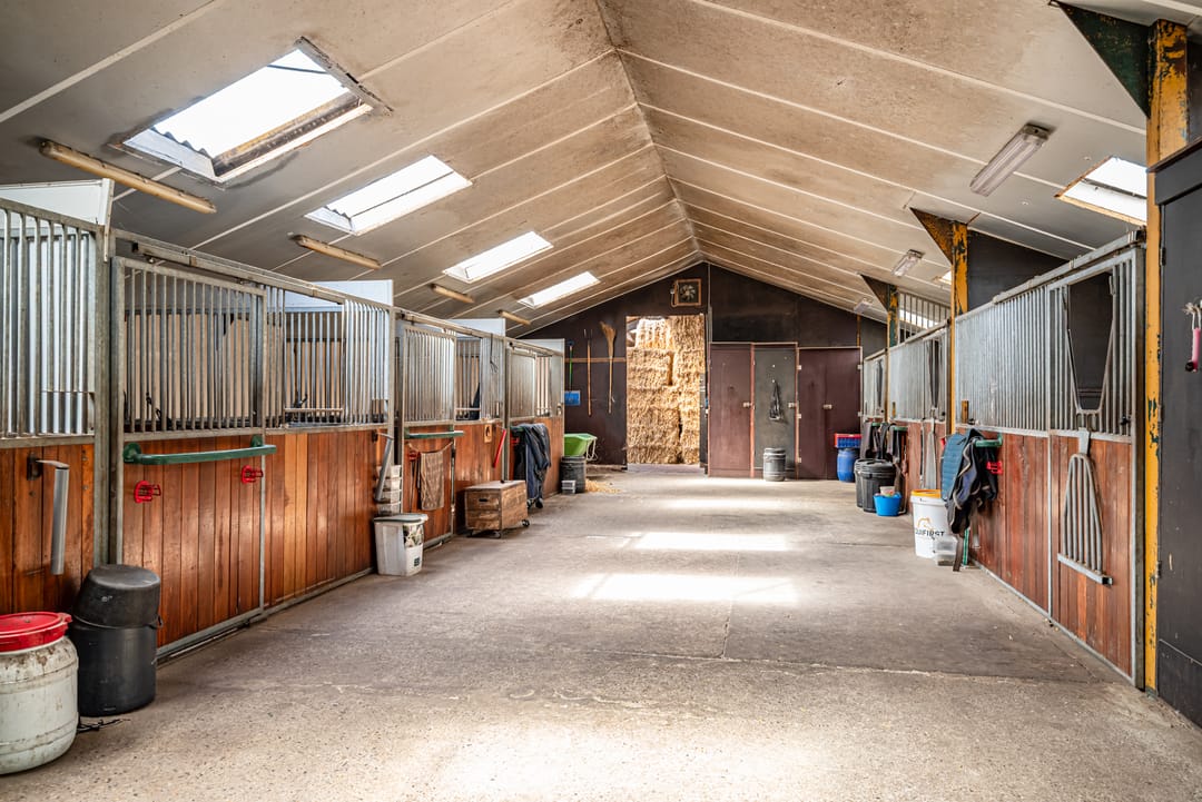 Foto 2 van Rheezerveenseweg 33