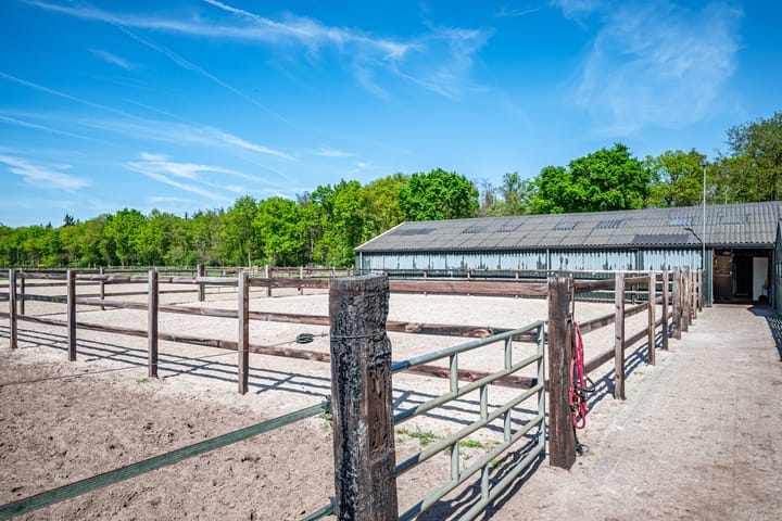 Foto 48 van Rheezerveenseweg 33