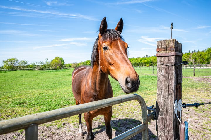 Foto 51 van Rheezerveenseweg 33