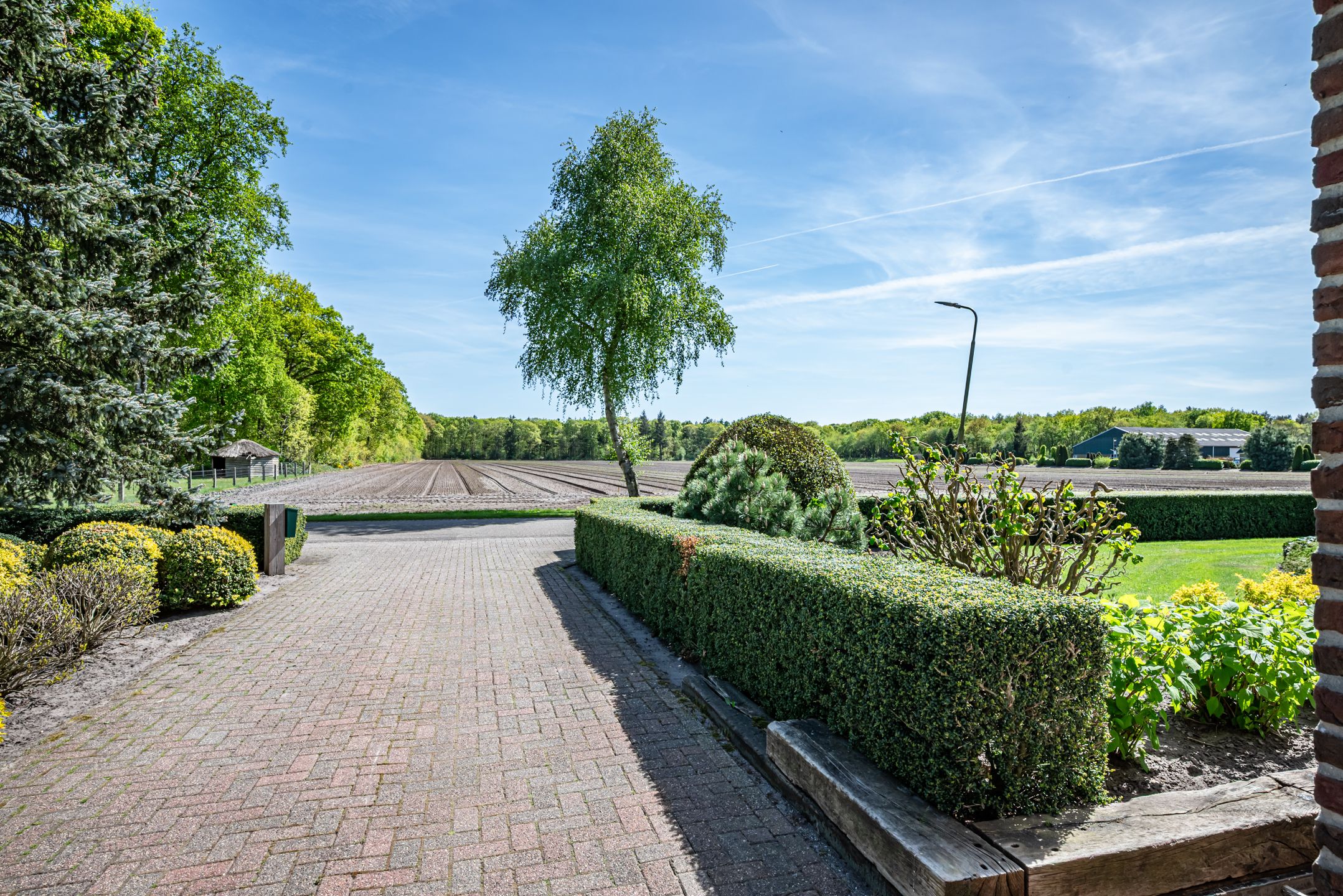 Foto 6 van Rheezerveenseweg 33