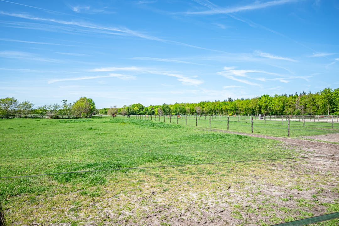 Foto 53 van Rheezerveenseweg 33