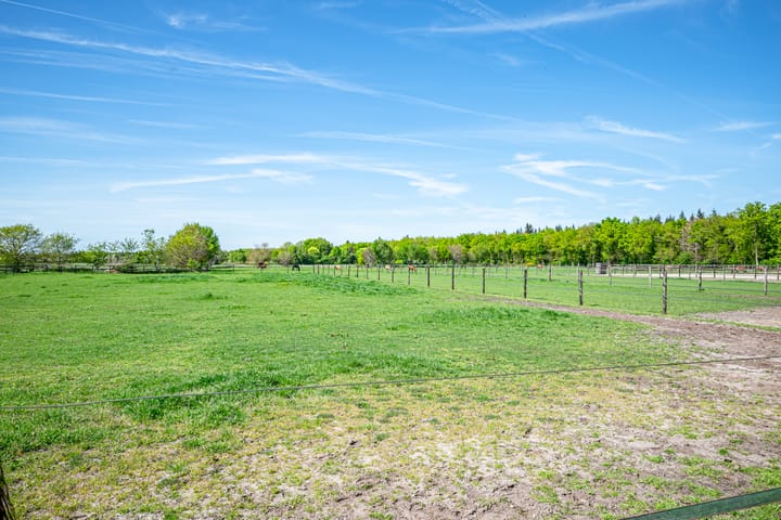 Foto 53 van Rheezerveenseweg 33