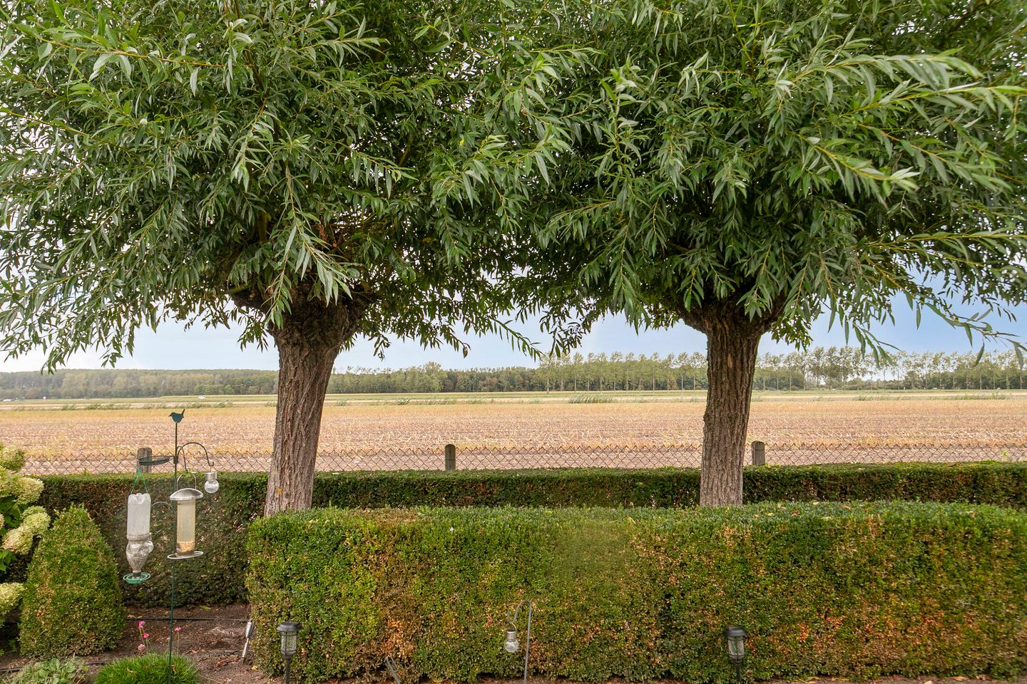 Foto 49 van Ruysdaelstraat 48