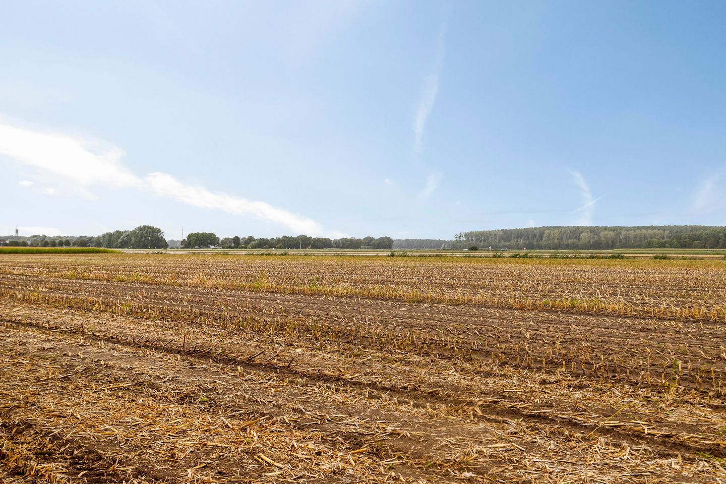 Foto 50 van Ruysdaelstraat 48