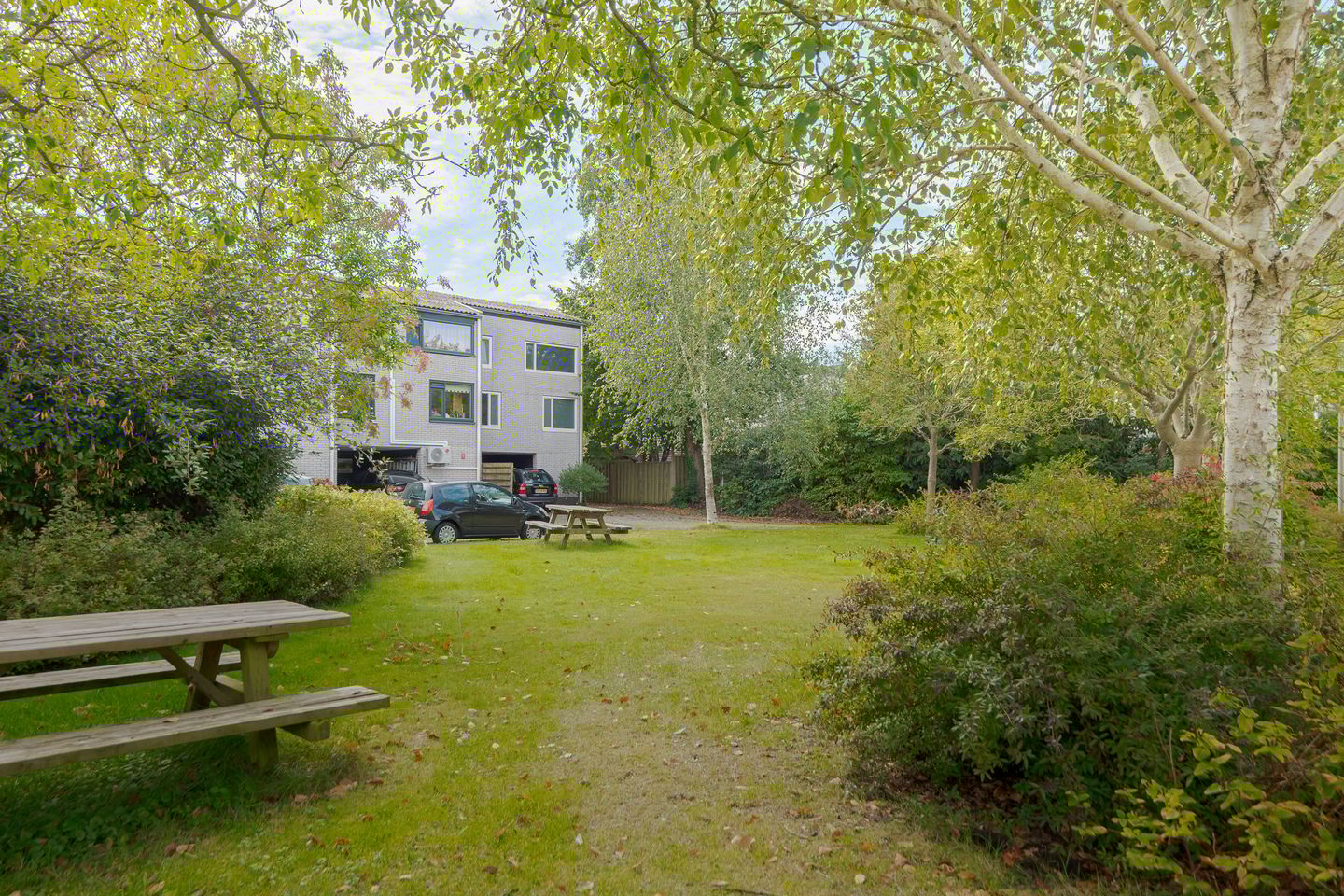 Foto 5 van De Wouden 300