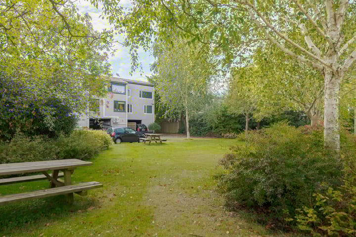 Foto 5 van De Wouden 300