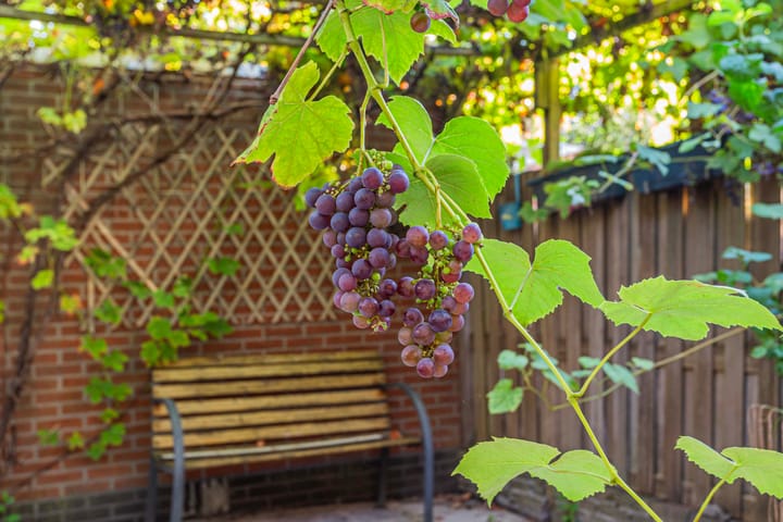 Photo 31 of Montfoortlaan 8