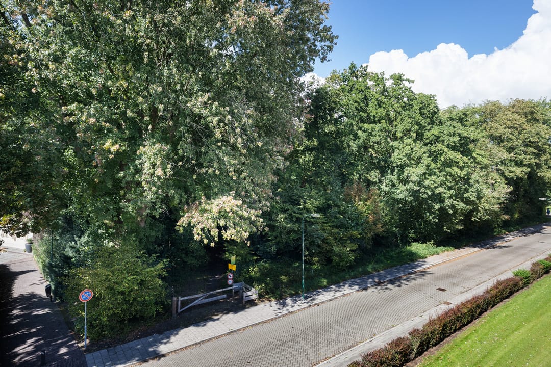 Foto 8 van Inspecteur Schreuderlaan 94