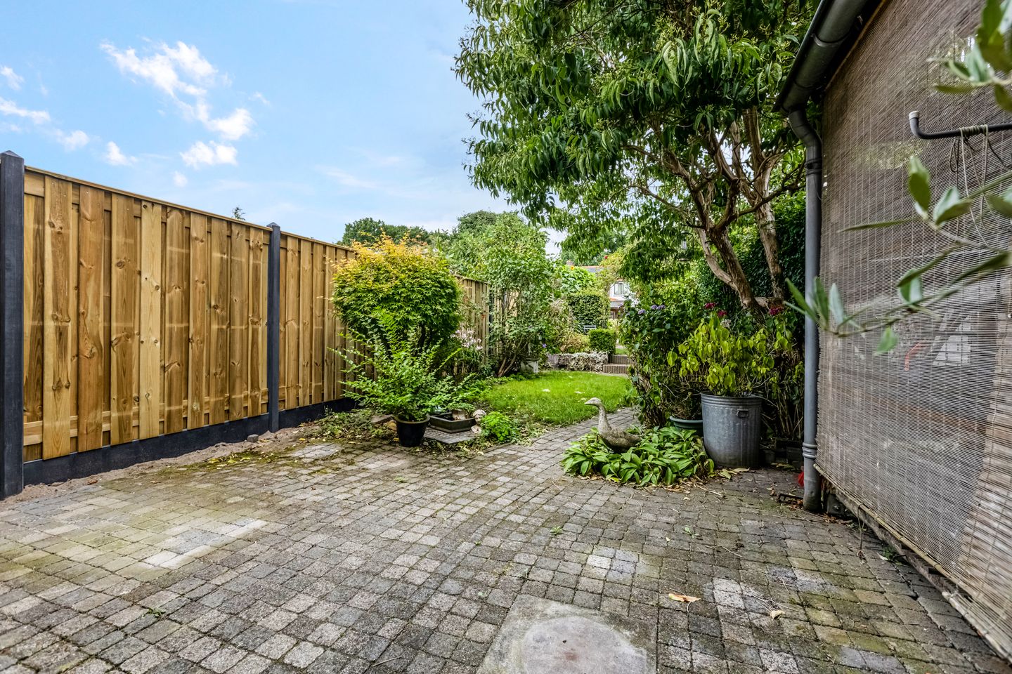 Foto 25 van Burgemeester van den Boschstraat 63