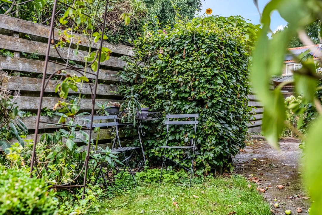 Foto 28 van Burgemeester van den Boschstraat 63