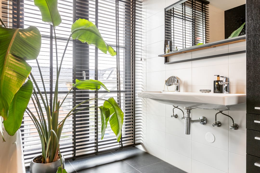 Foto 47 van Terschellinglaan 25