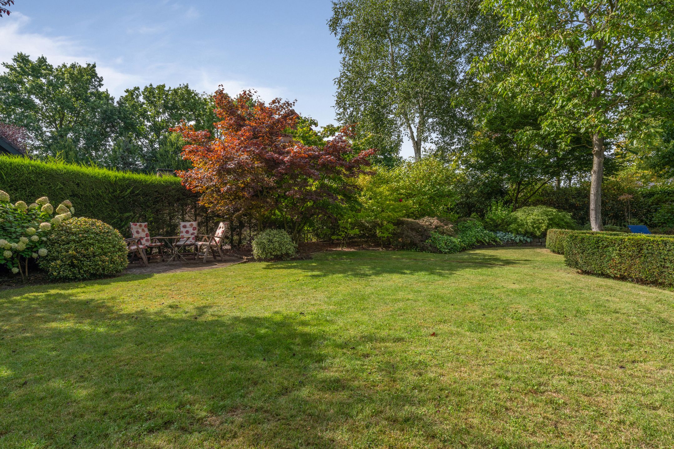 Foto 57 van Schalmei 39