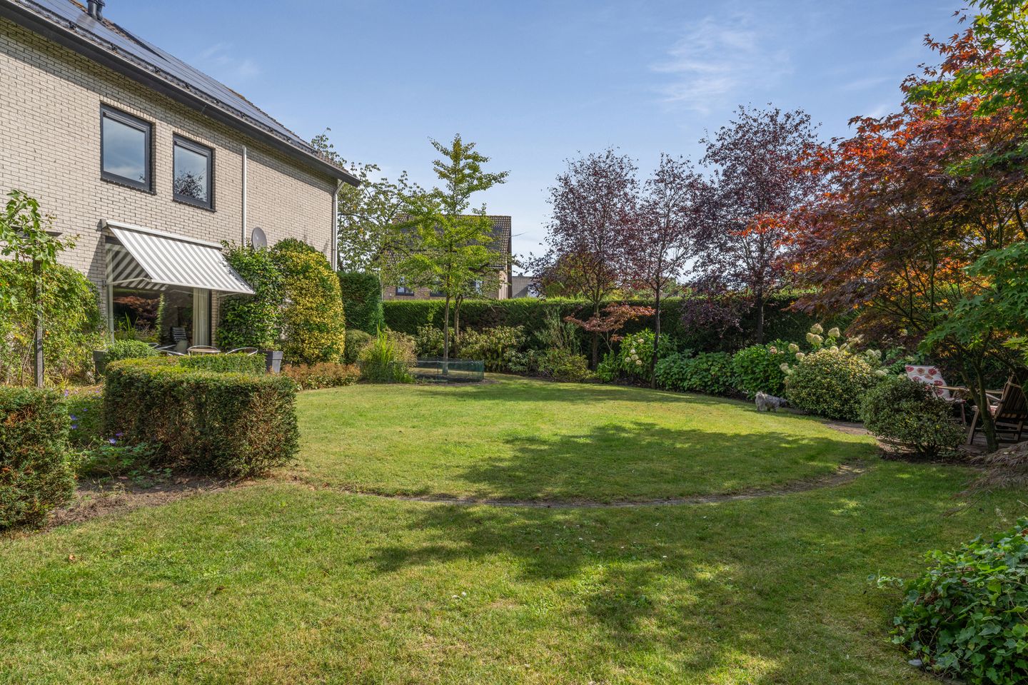 Foto 59 van Schalmei 39