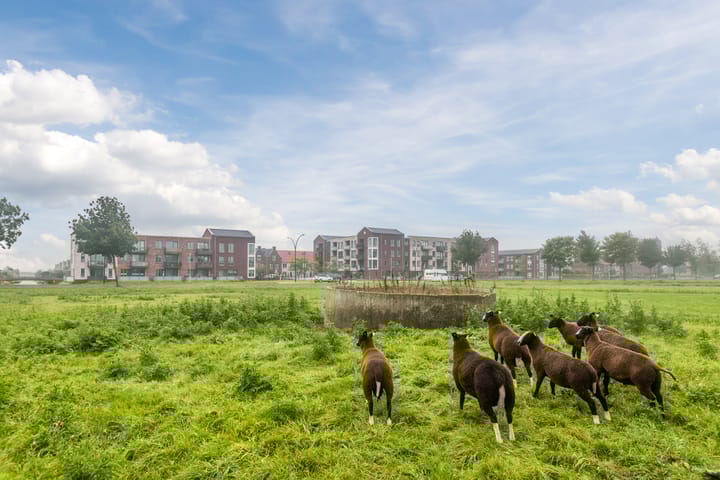 Foto 41 van Paulus Potterstraat 54