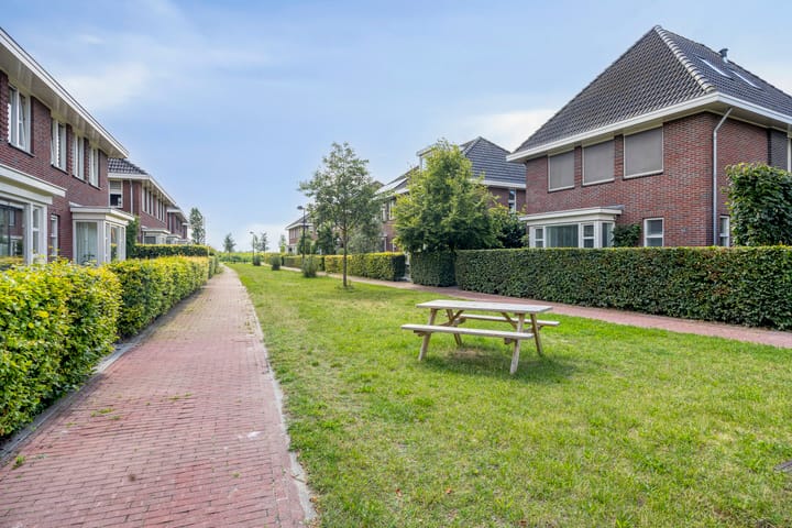 Foto 6 van Zandrug 42