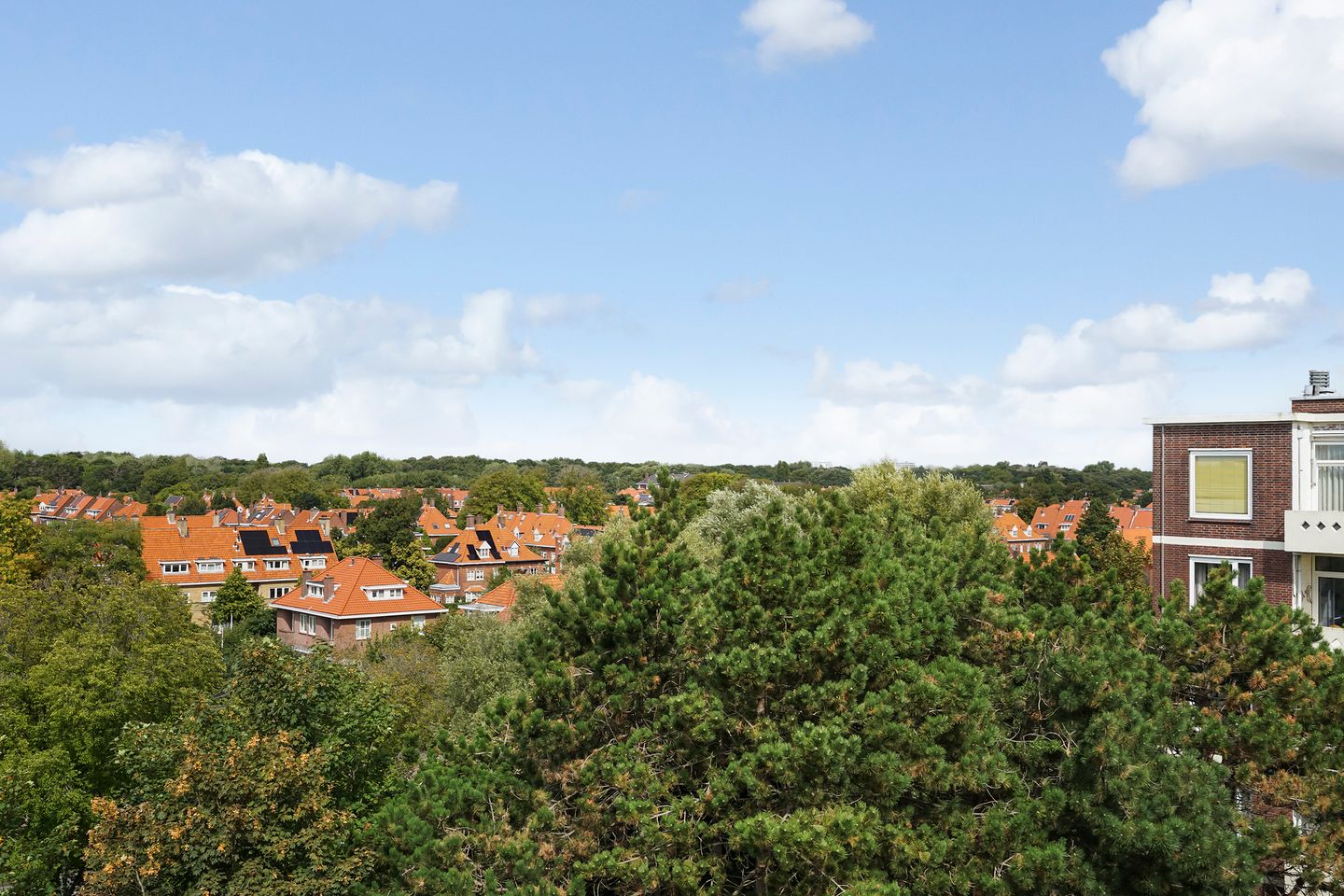 Photo 4 of Ranonkelstraat 267