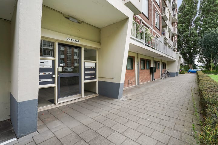 Foto 5 van Ranonkelstraat 267