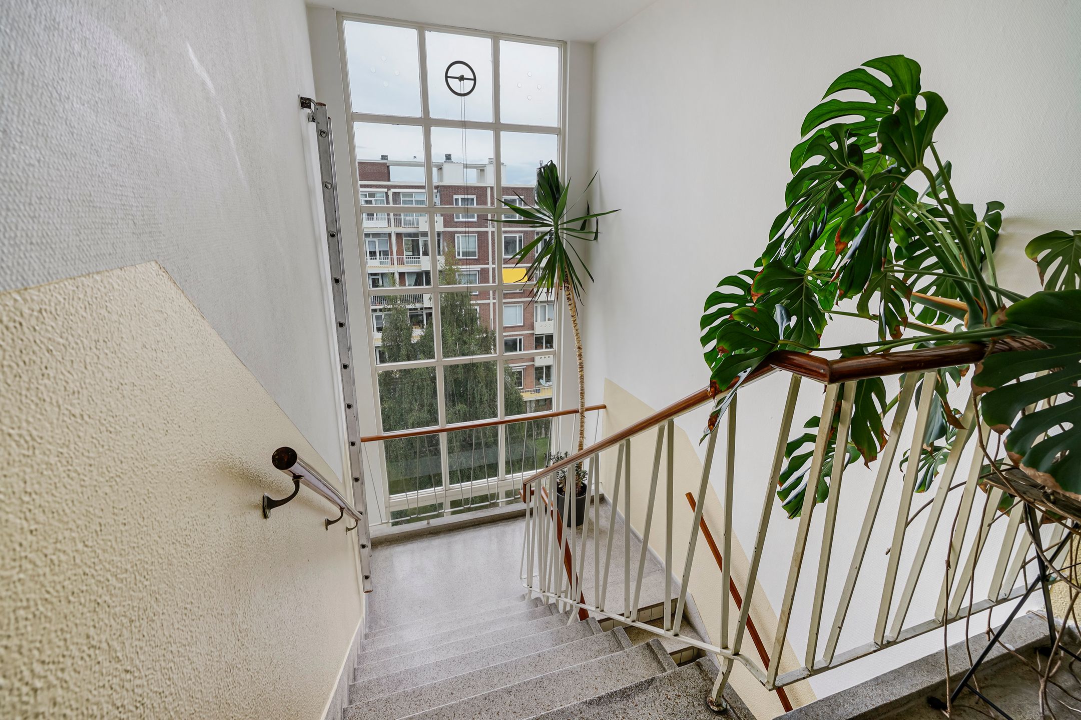 Photo 27 of Ranonkelstraat 267