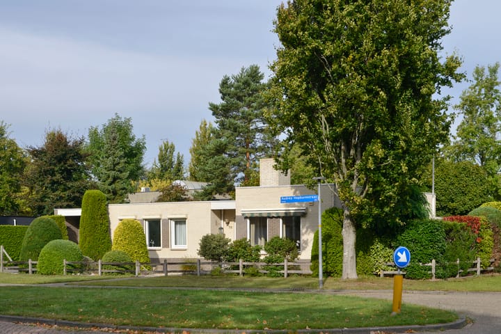 Foto 20 van Audrey Hepburnstraat 78