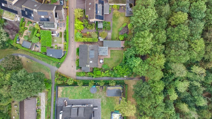 Foto 3 van Harpdreef 22