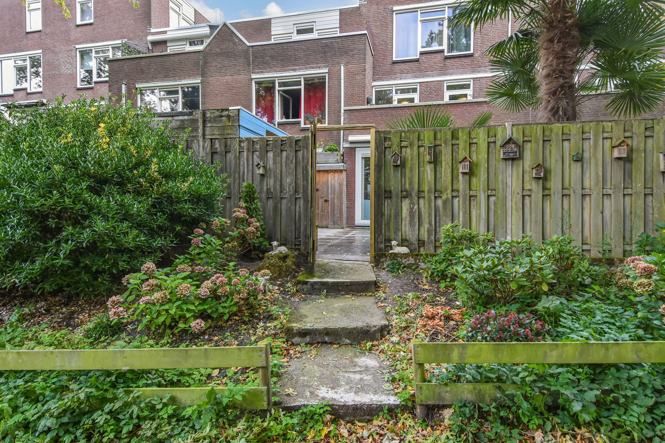 Foto 42 van Rossinilaan 407