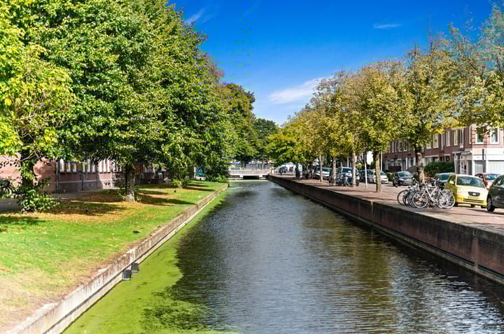 Photo 53 of Siem Leenestraat 5