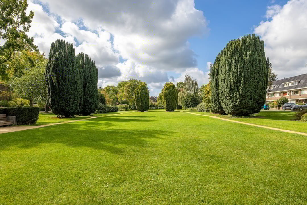 Foto 41 van Laan van Bergen 3