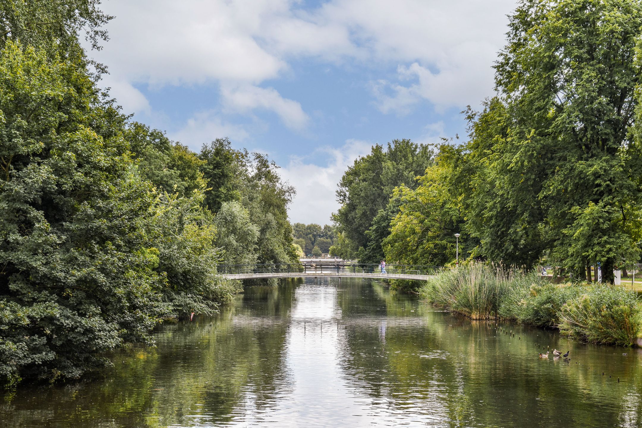 Foto 27 van Pieter Calandlaan 226-E